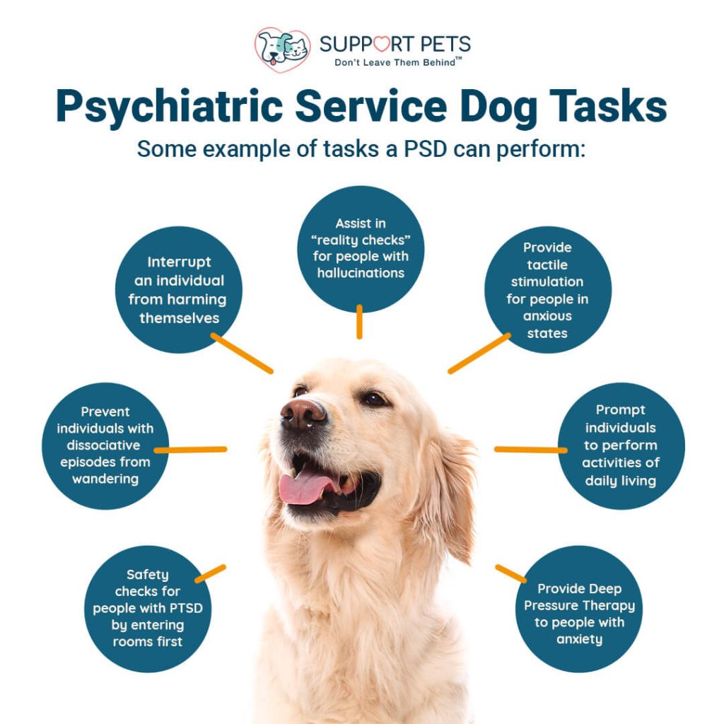 Psychiatric Service Dog Tasks