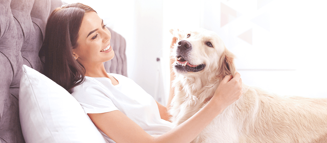 7 Ways to Relax with Your Pet