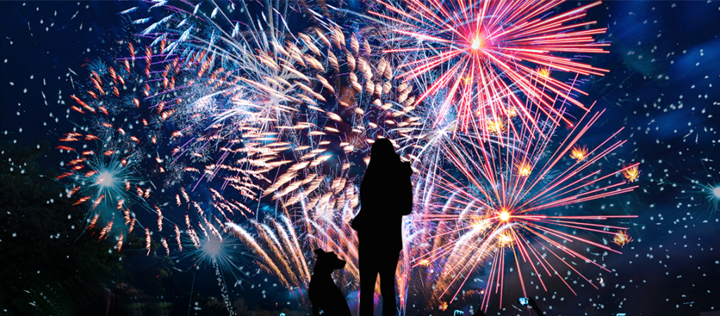 How to Help Your Dog Through Fireworks Season