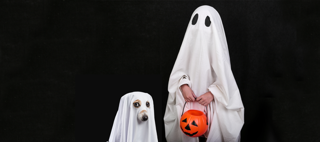 Does Your Dog See Ghosts?