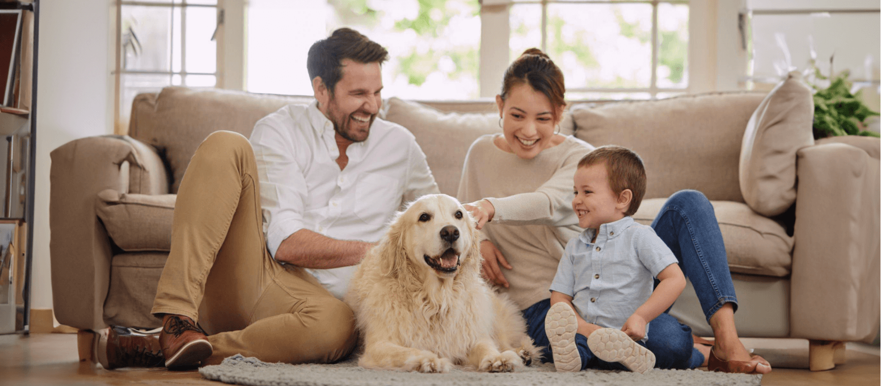 Top 10 Reasons Why We’re Thankful for Pets