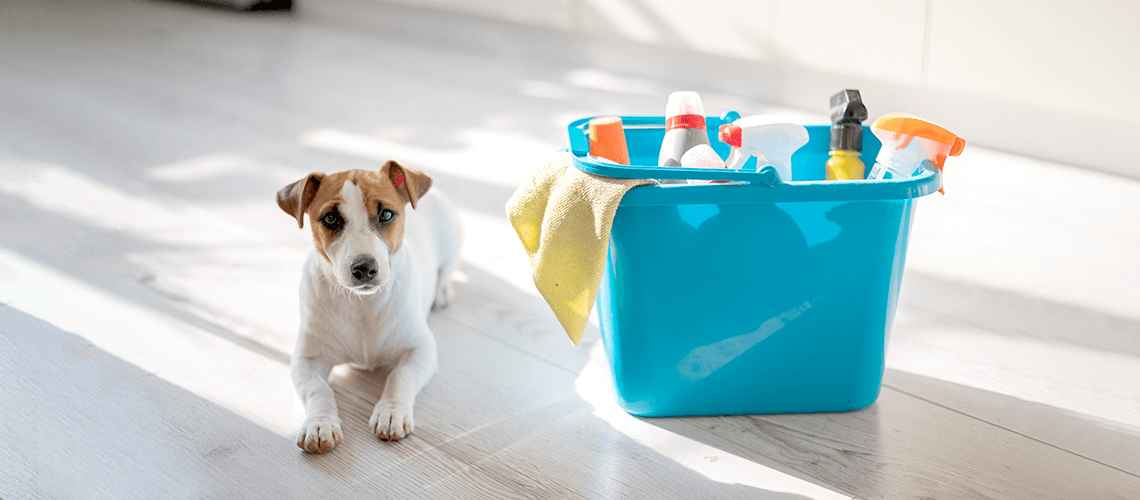 Spring Cleaning Tips and Tricks for Pet Owners