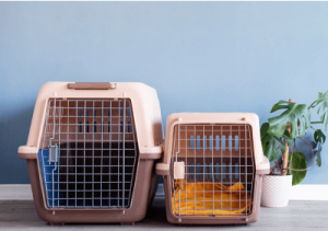 pet carriers