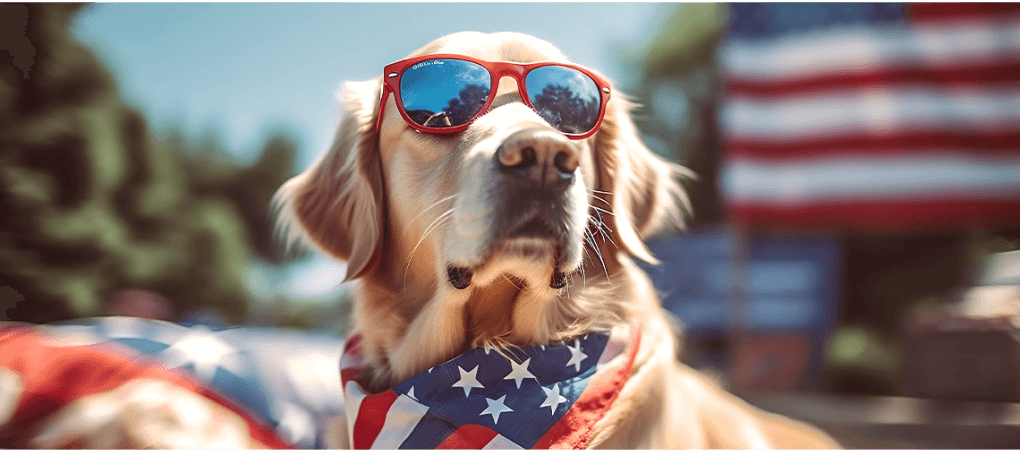 How to Prepare Your Furry Friend for the Fourth of July: A Whisker-licking Guide