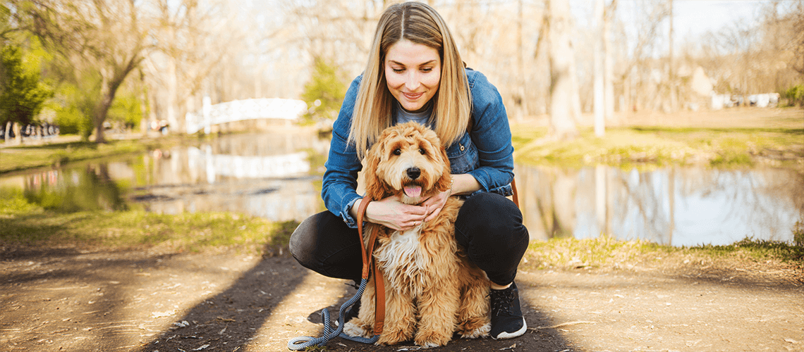 woman hugging a Hypoallergenic labradoodle