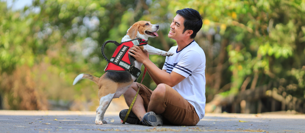 Service Dog Vests: When and How They Can Help