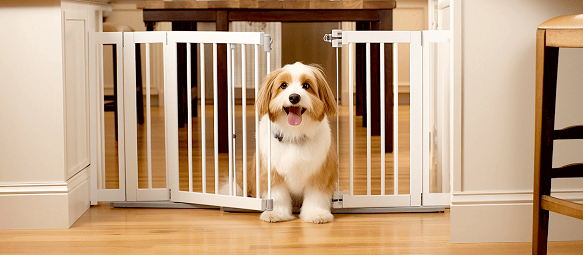 Pet-Proofing-your-homeBlog-Banner